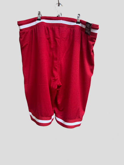 Mesh Shorts Red
